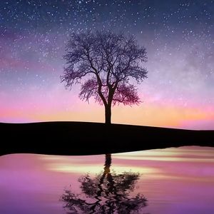 Meet your Posher, Kyra